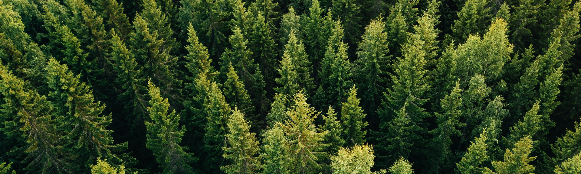 DETAIL®HERBICIDE